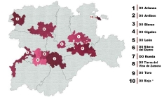 Castilla Y León cuenta con 10 denominaciones de origen para sus vinos