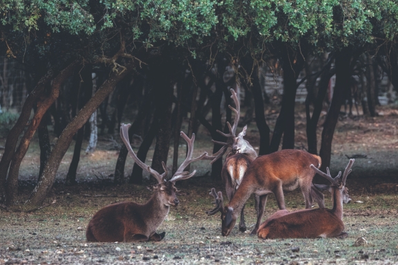 Respira Profundamente... Con P de Palencia