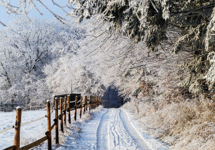 Camino nevado que recuerda a los inviernos en el corazón de Castilla y León