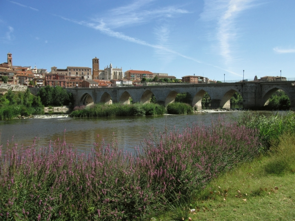 Vista de Tordesillas desde el río Duero