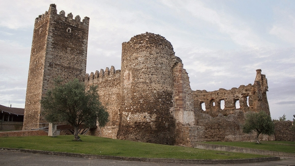 Castillo de Laguna de Negrillos