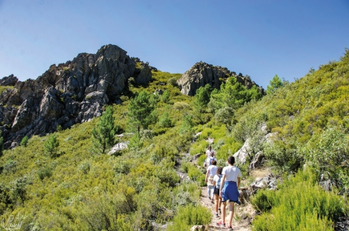 Turismo a base de rutas en Castilla y León