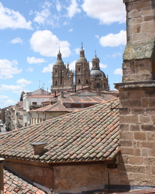 Vista de La Clerecía, desde uno de los barrios que la rodean