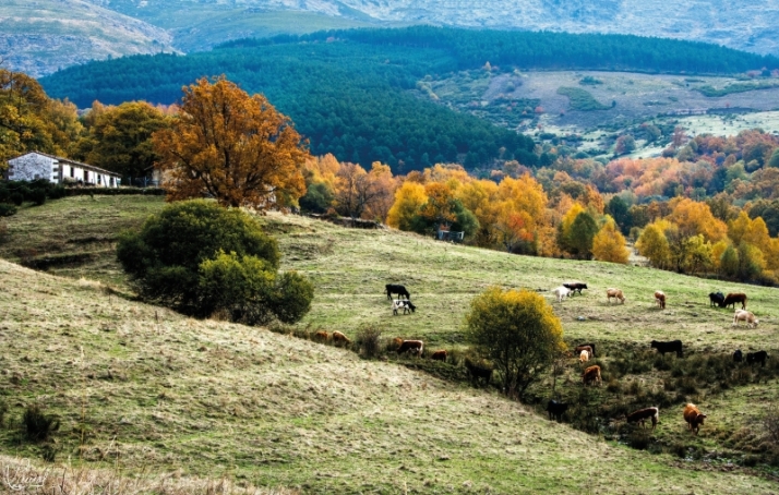 La sostenibilidad jugará un papel importante en el desarrollo del turismo de la comunidad