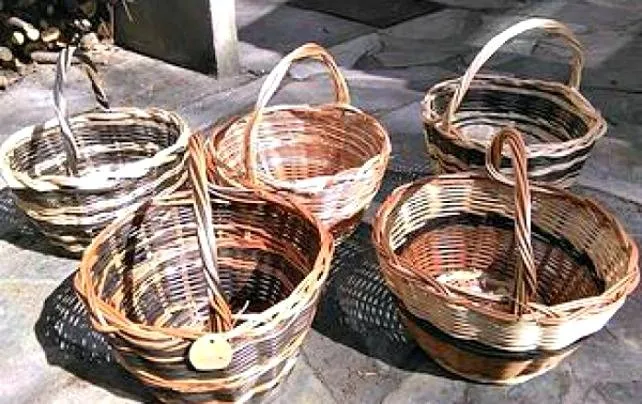 Imagen principal de la noticia