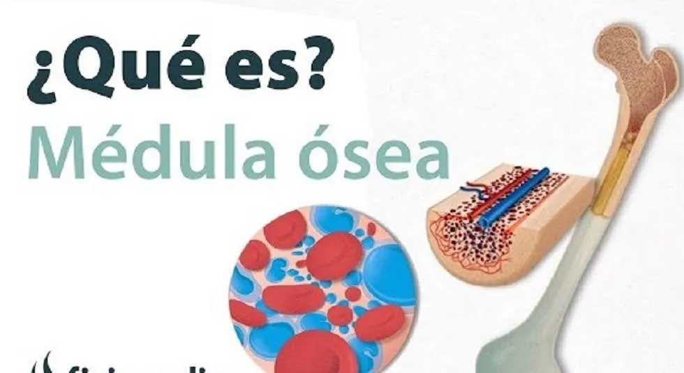 Imagen principal de la noticia