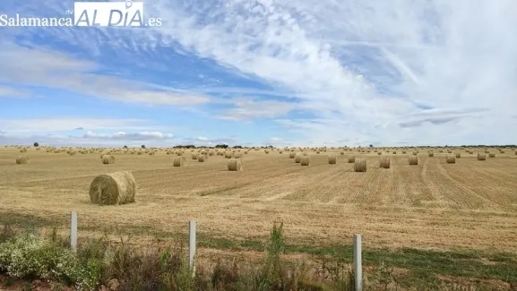 Imagen principal de la noticia