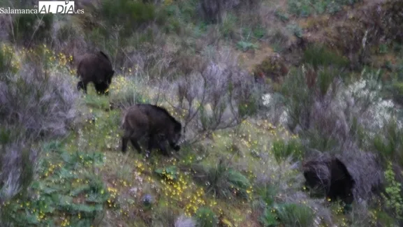 Imagen principal de la noticia