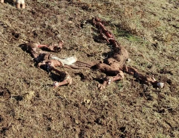 Imagen principal de la noticia